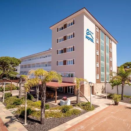 Pato Rojo Punta Umbría